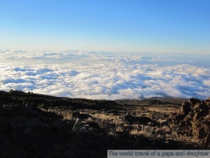 ハワイ旅行