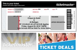 Ticketmasterのチケット