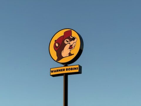 赤いキャップのビーバー