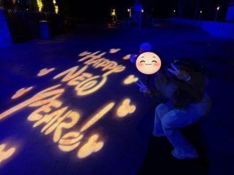 マジックキンダムのカウントダウンを大晦日前日に