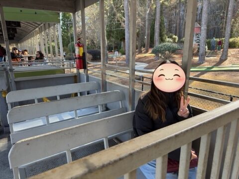 シーニック・レイルロード