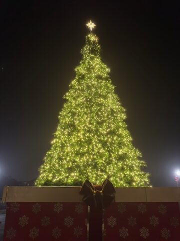 セント・ルイス大聖堂のクリスマス深夜ミサ