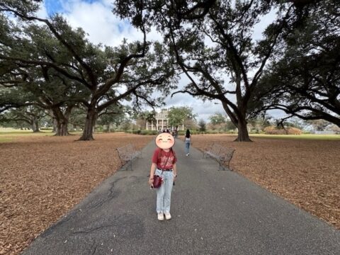 オーク・アレイ・プランテーション